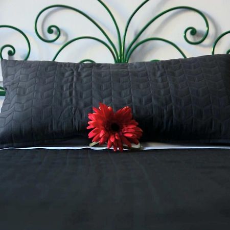 Little Luxury Apartment In San Lorenzo 佛罗伦萨 外观 照片
